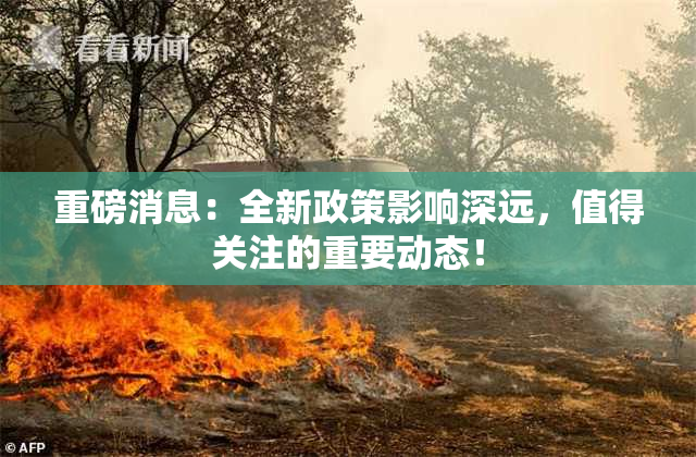 重磅消息：全新政策影响深远，值得关注的重要动态！