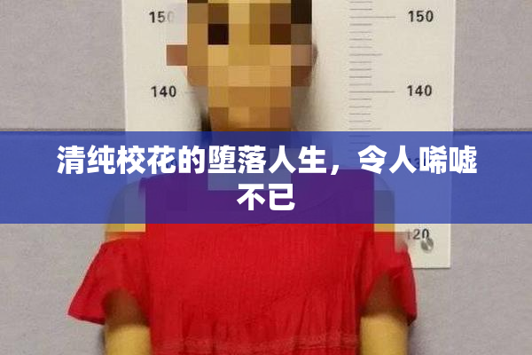 清纯校花的堕落人生，令人唏嘘不已