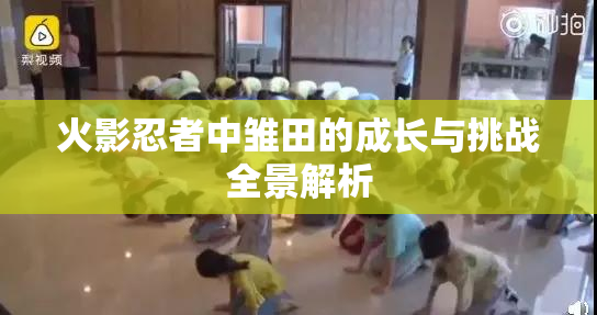火影忍者中雏田的成长与挑战全景解析