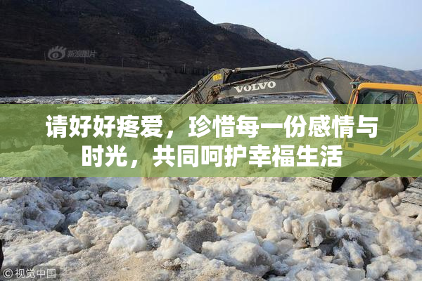 请好好疼爱，珍惜每一份感情与时光，共同呵护幸福生活