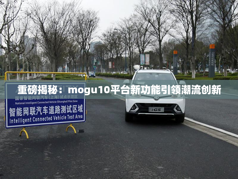 重磅揭秘：mogu10平台新功能引领潮流创新