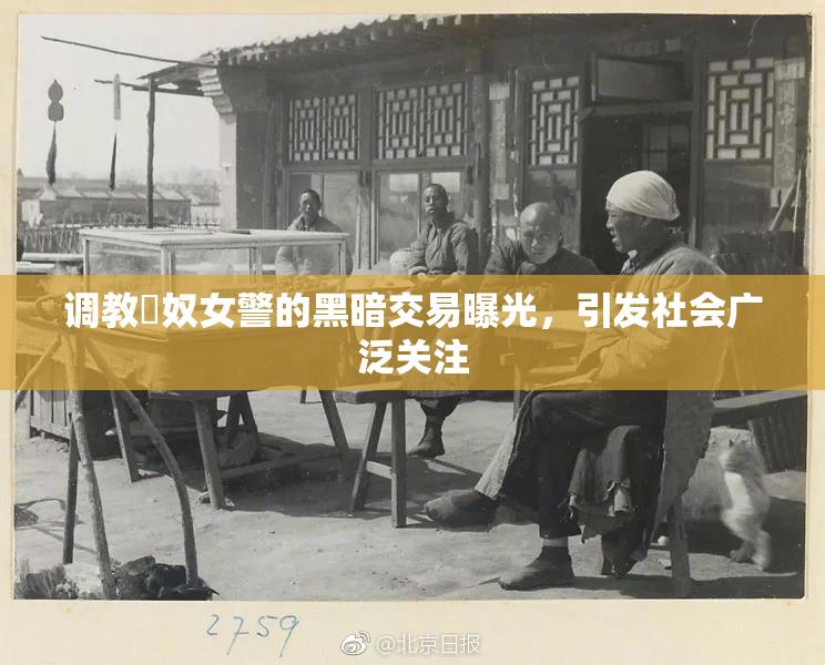 调教婬奴女警的黑暗交易曝光，引发社会广泛关注