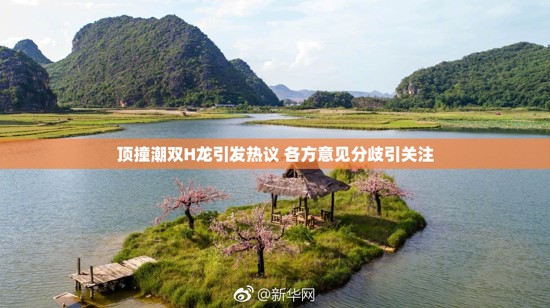 顶撞潮双H龙引发热议 各方意见分歧引关注