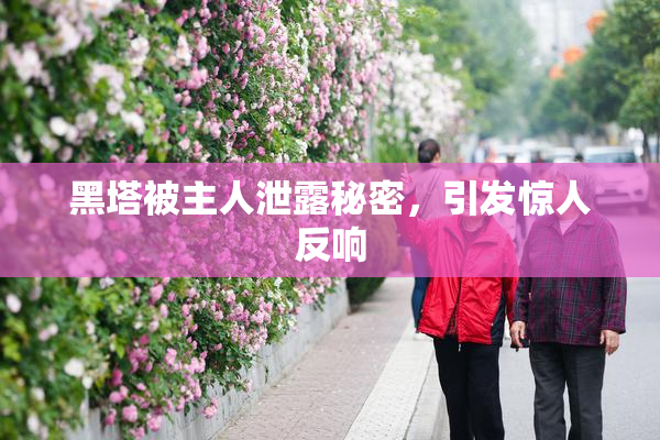 黑塔被主人泄露秘密，引发惊人反响