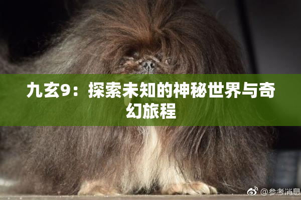 九玄9：探索未知的神秘世界与奇幻旅程
