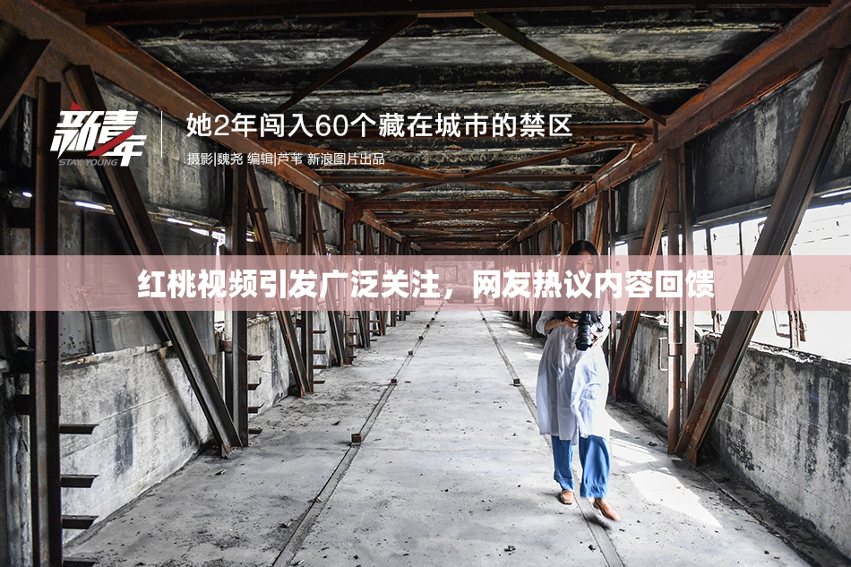 红桃视频引发广泛关注，网友热议内容回馈