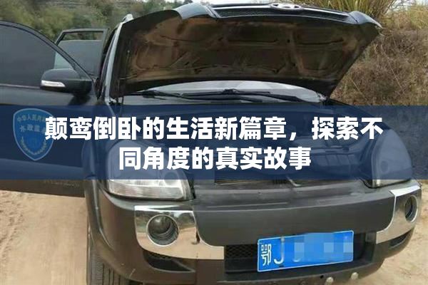 颠鸾倒卧的生活新篇章，探索不同角度的真实故事