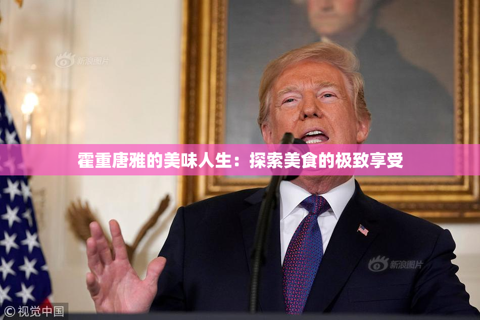 霍重唐雅的美味人生：探索美食的极致享受