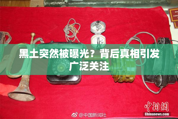 黑土突然被曝光？背后真相引发广泛关注