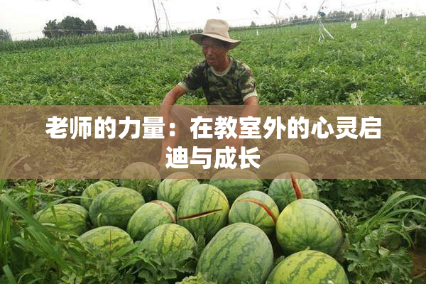 老师的力量：在教室外的心灵启迪与成长