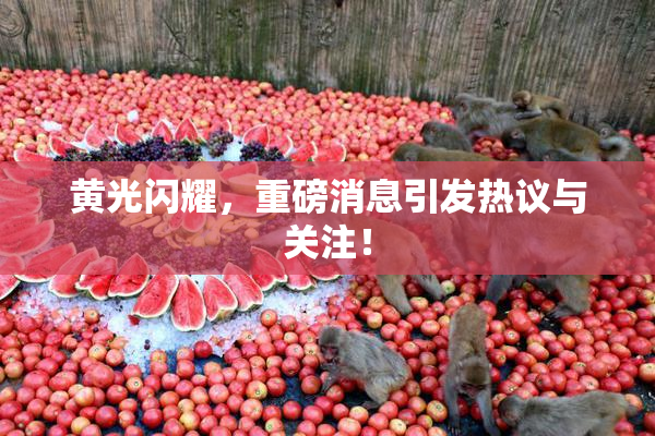 黄光闪耀，重磅消息引发热议与关注！