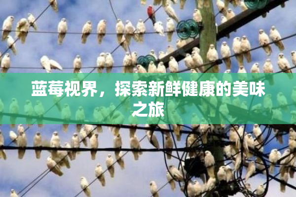 蓝莓视界，探索新鲜健康的美味之旅
