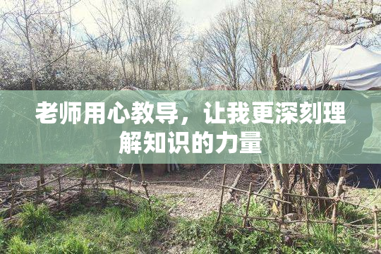 老师用心教导，让我更深刻理解知识的力量