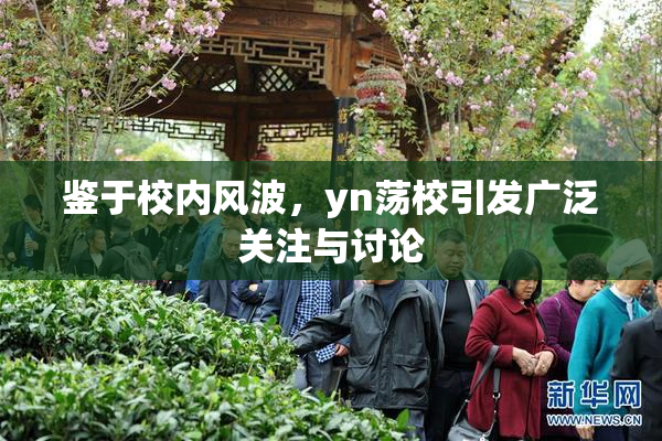 鉴于校内风波，yn荡校引发广泛关注与讨论