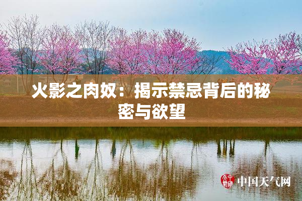火影之肉奴：揭示禁忌背后的秘密与欲望