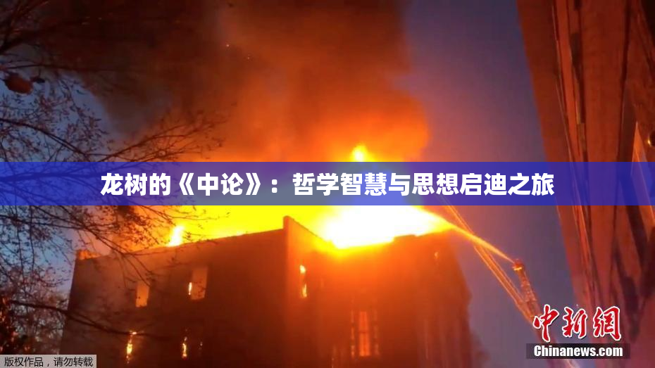 龙树的《中论》：哲学智慧与思想启迪之旅