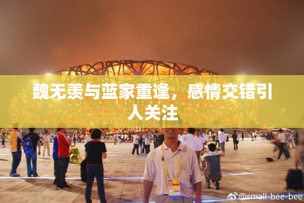 魏无羡与蓝家重逢，感情交错引人关注