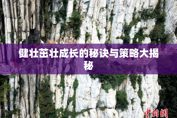 健壮茁壮成长的秘诀与策略大揭秘