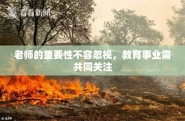 老师的重要性不容忽视，教育事业需共同关注