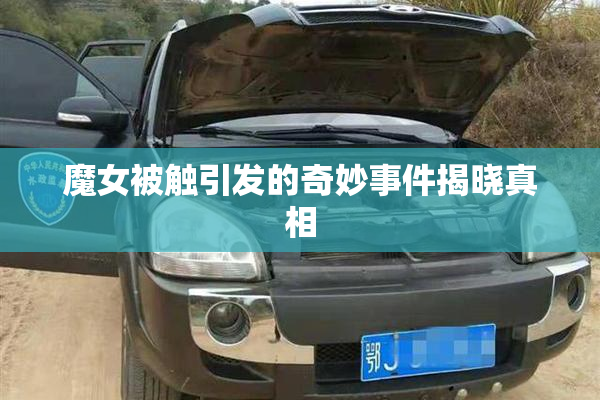 魔女被触引发的奇妙事件揭晓真相