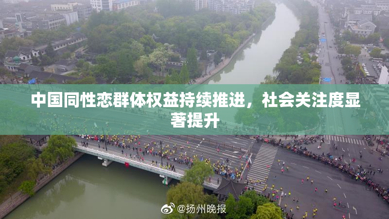 中国同性恋群体权益持续推进，社会关注度显著提升