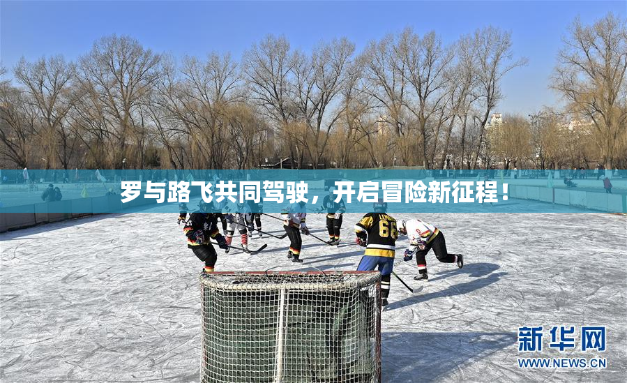 罗与路飞共同驾驶，开启冒险新征程！