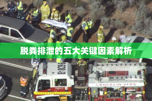 脱粪排泄的五大关键因素解析