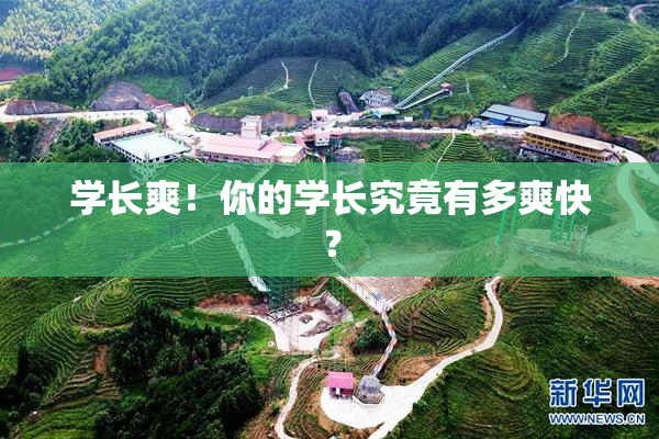 学长爽！你的学长究竟有多爽快？