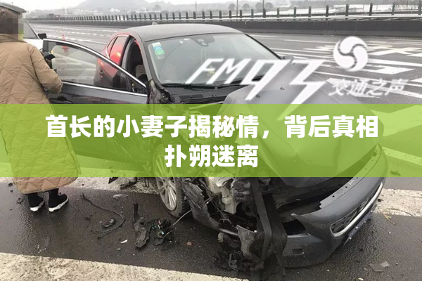 首长的小妻子揭秘情，背后真相扑朔迷离