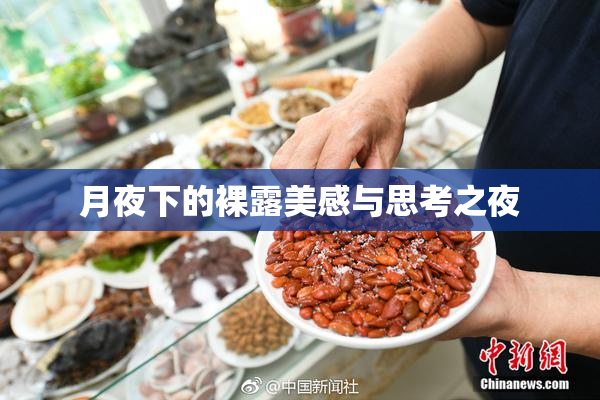 月夜下的裸露美感与思考之夜