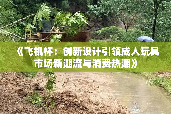 《飞机杯：创新设计引领成人玩具市场新潮流与消费热潮》