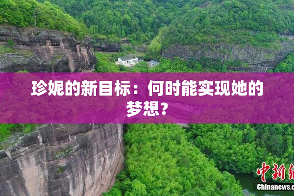 珍妮的新目标：何时能实现她的梦想？