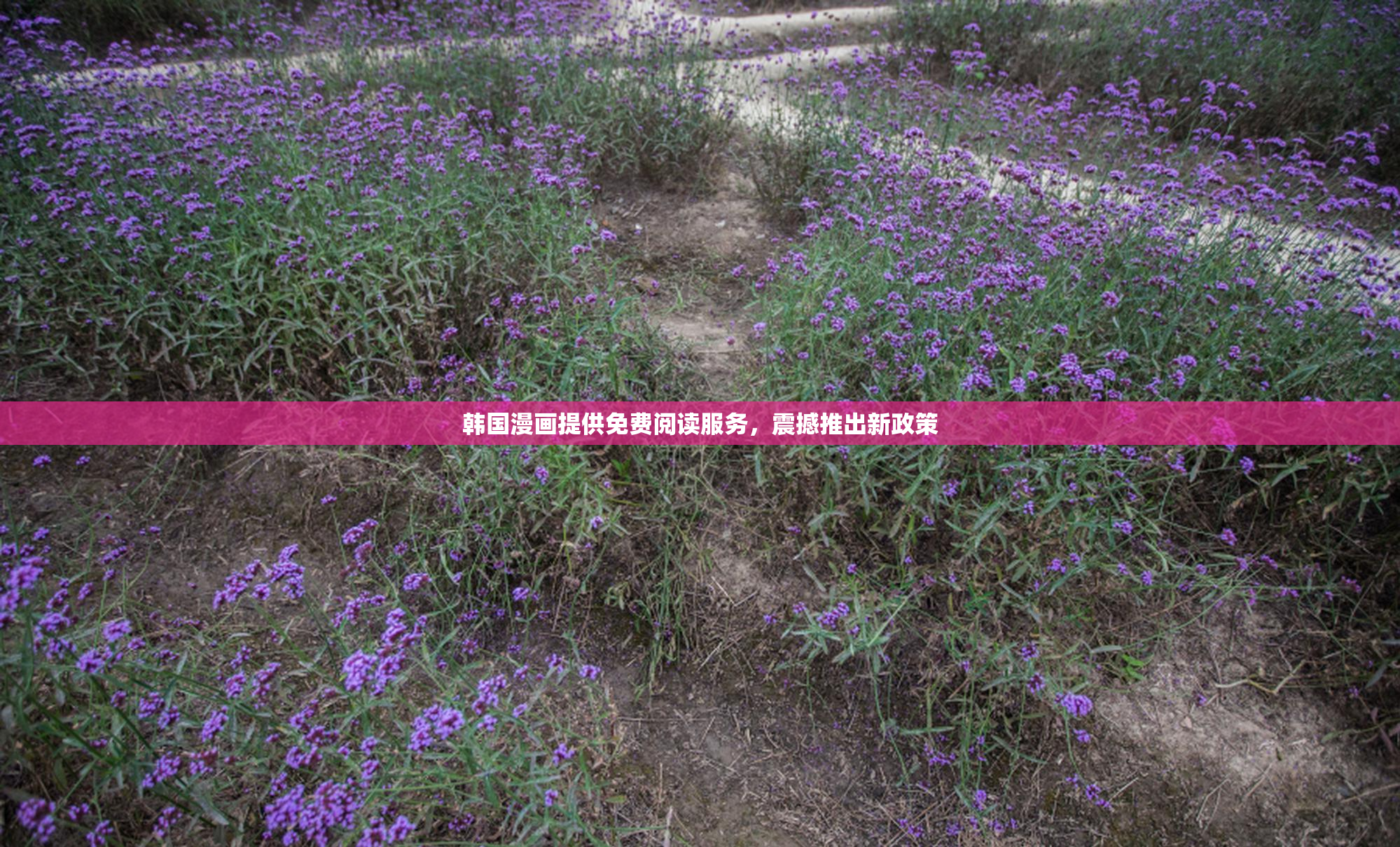 韩国漫画提供免费阅读服务，震撼推出新政策