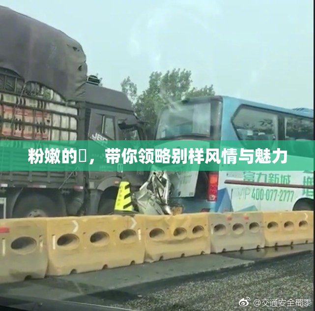 粉嫩的泬，带你领略别样风情与魅力