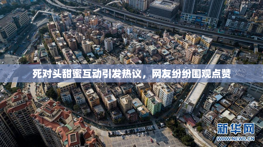 死对头甜蜜互动引发热议，网友纷纷围观点赞
