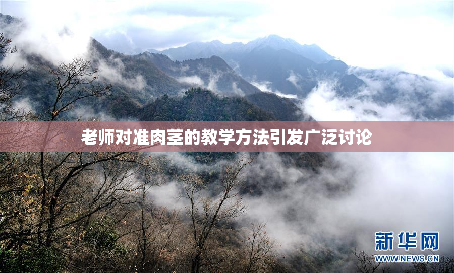 老师对准肉茎的教学方法引发广泛讨论
