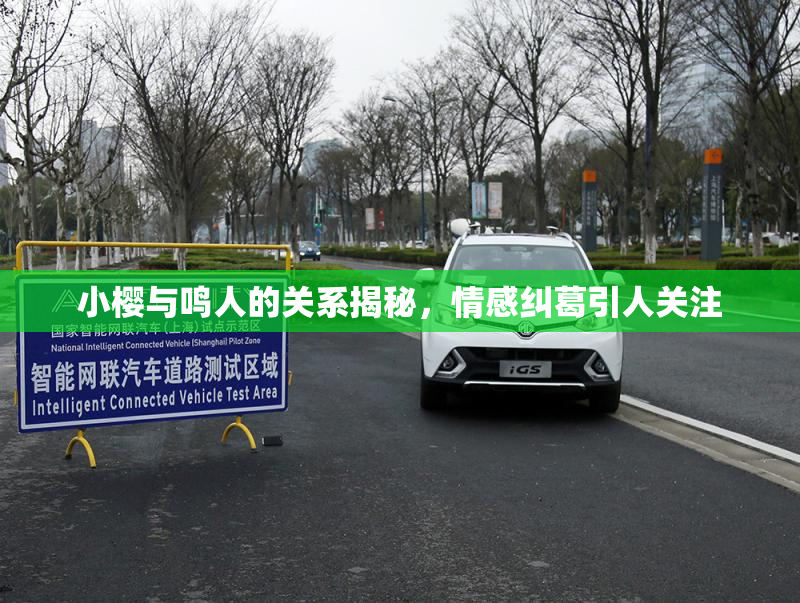 小樱与鸣人的关系揭秘，情感纠葛引人关注
