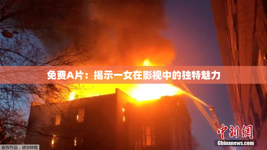 免费A片：揭示一女在影视中的独特魅力