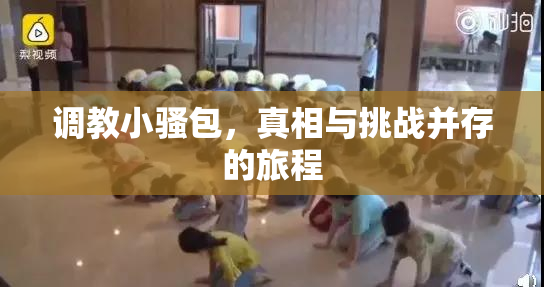 调教小骚包，真相与挑战并存的旅程