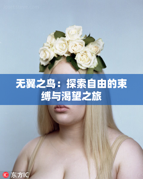 无翼之鸟：探索自由的束缚与渴望之旅