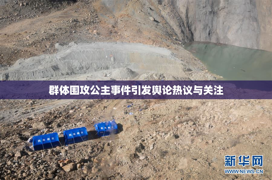 群体围攻公主事件引发舆论热议与关注