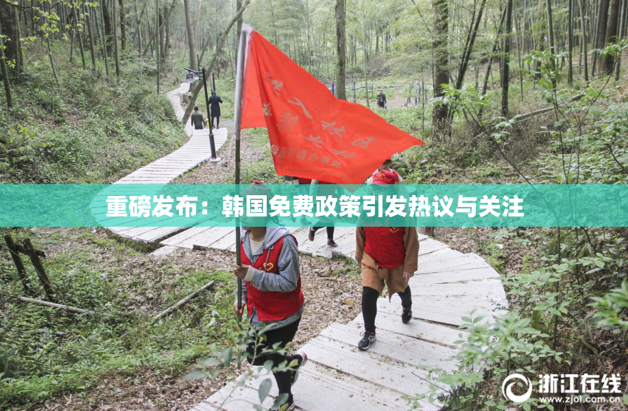 重磅发布：韩国免费政策引发热议与关注