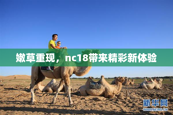 嫩草重现，nc18带来精彩新体验