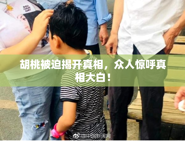 胡桃被迫揭开真相，众人惊呼真相大白！