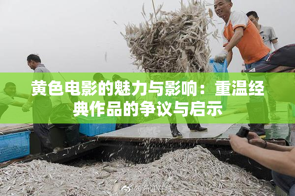 黄色电影的魅力与影响：重温经典作品的争议与启示