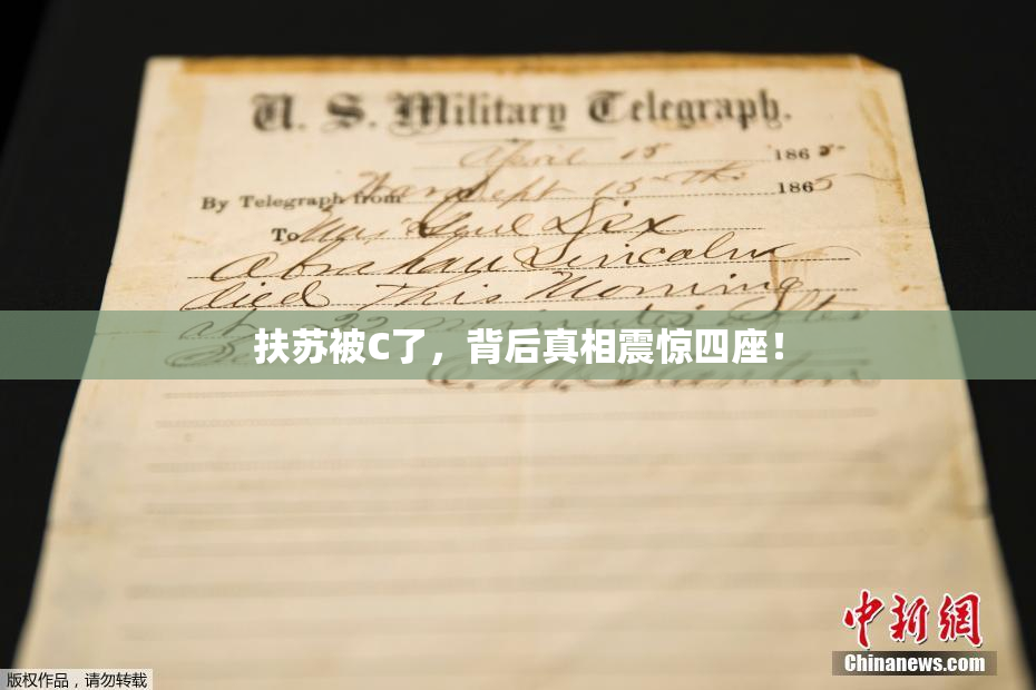 扶苏被C了，背后真相震惊四座！