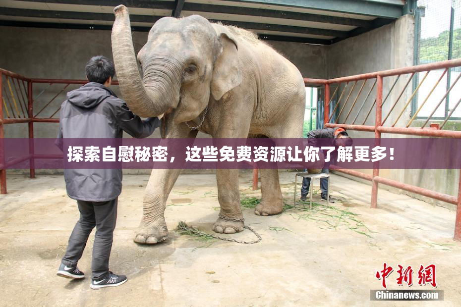 探索自慰秘密，这些免费资源让你了解更多！