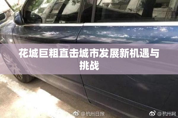 花城巨粗直击城市发展新机遇与挑战
