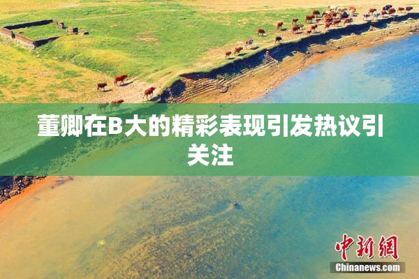 董卿在B大的精彩表现引发热议引关注