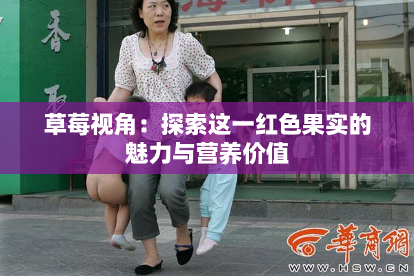 草莓视角：探索这一红色果实的魅力与营养价值